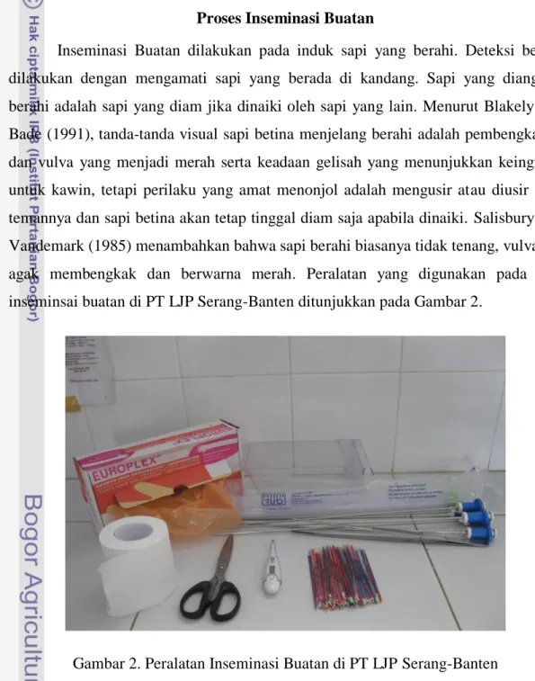 Gambar 2. Peralatan Inseminasi Buatan di PT LJP Serang-Banten