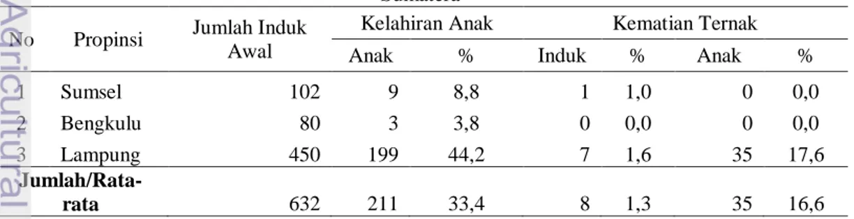 Tabel 5.  Perkembangan  Ternak  Brahman  Cross  Tahun  2008  (Data  2009)  Regional Sumatera 