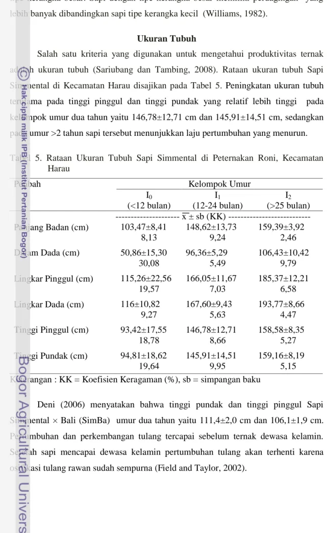 Tabel  5.  Rataan  Ukuran  Tubuh  Sapi  Simmental  di  Peternakan  Roni,  Kecamatan  Harau 