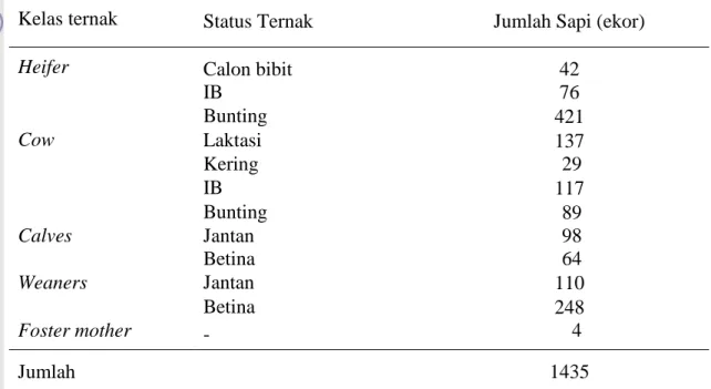Tabel 1. Populasi Ternak Sapi di PT Lembu Jantan Perkasa Serang Banten per-Juli  2010 