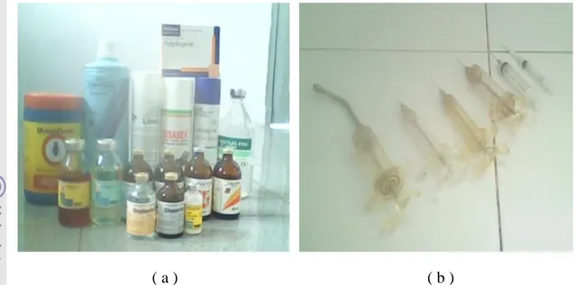 Gambar 4. Peralatan Kesehatan Hewan: (a) Obat-obatan dan (b) Alat Suntik  Proses Produksi Bibit 
