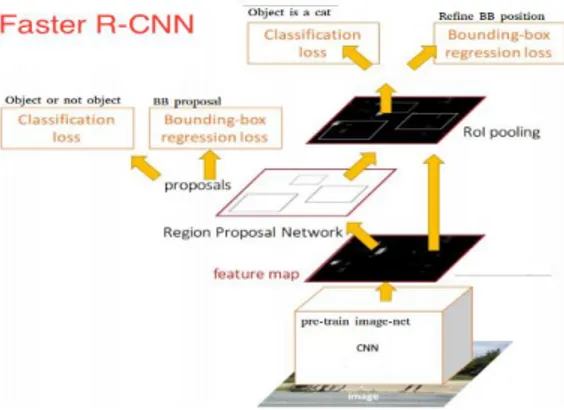 Gambar 12. Arsitektur dari Faster R-CNN (Le, 2020) 