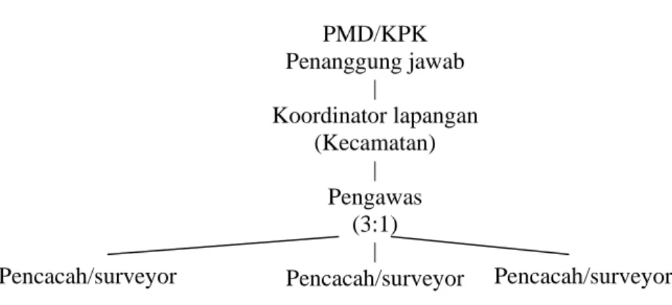 Gambar 2: Pembagian tugas pengumpulan data di lapangan  PMD/KPK  Penanggung jawab  |  Koordinator lapangan  (Kecamatan)  |  Pengawas  (3:1)  |  Pencacah/surveyor 