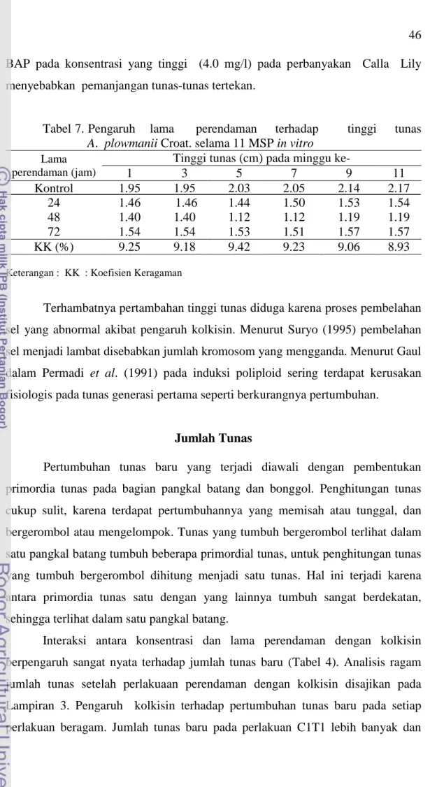Tabel 7. Pengaruh    lama      perendaman     terhadap        tinggi     tunas  A.  plowmanii Croat