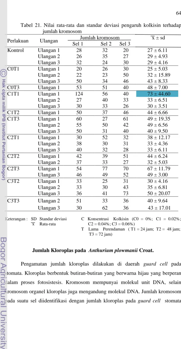Tabel  21.  Nilai  rata-rata  dan  standar  deviasi  pengaruh  kolkisin  terhadap  jumlah kromosom 
