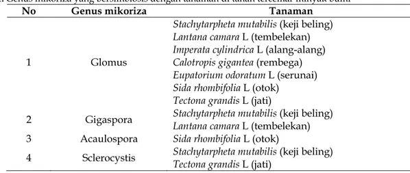 Tabel 1. Genus mikoriza yang bersimbiosis dengan tanaman di tanah tercemar minyak bumi  No   Genus mikoriza  Tanaman 