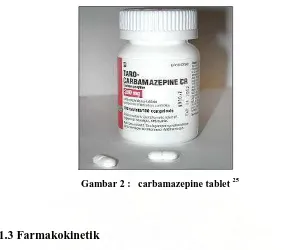 Gambar 2 :   carbamazepine tablet 25 