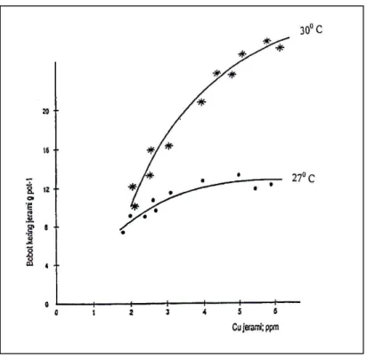 Gambar IV.1   Hubungan  antara  bobot  kering  jerami  dan  Cu  jerami  tanaman  gandum yang ditanam pada dua suhu percobaan selama 6 minggu.