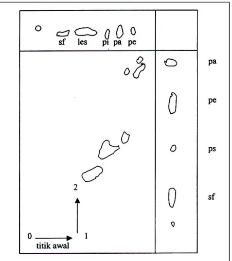 Gambar V.1    Pemisahan dua dimensi sari fosfolipid dari eritrosit manusia. Pelarut: 