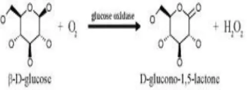 Gambar  2  menunjukkan  reaksi  katalisis  oksidasi  β-D-glukosa  ke  bentuk   D-glucono-1,5-lakton yang kemudian dihidrolisis menjadi  asam  glukonat  yang  kemudian  terlibat  dalam  jalur  pentosa  fosfat  dalam  tubuh  (Lehninger  2004)