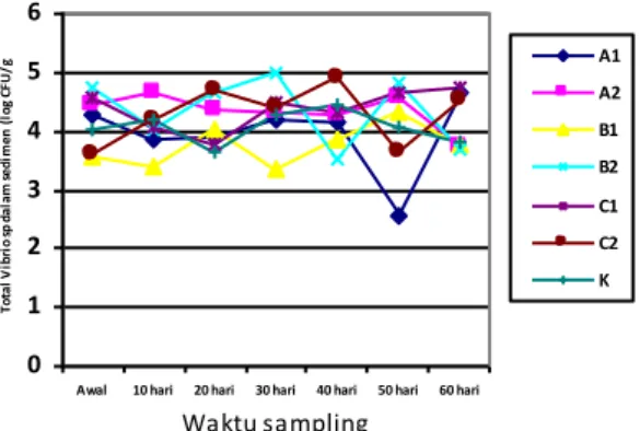 Gambar 6. Total Vibrio sp. dalam sedimen pemeliharaan udang windu selama penelitian. 