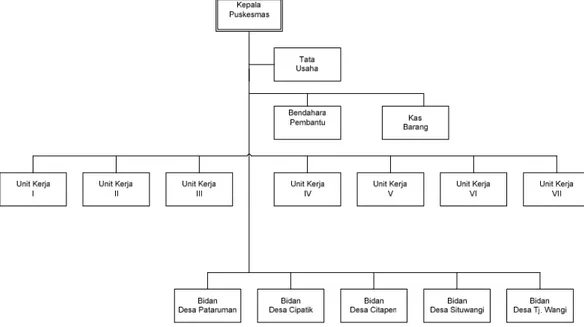 Gambar 3.1 Struktur organisasi puskesmas pataruman