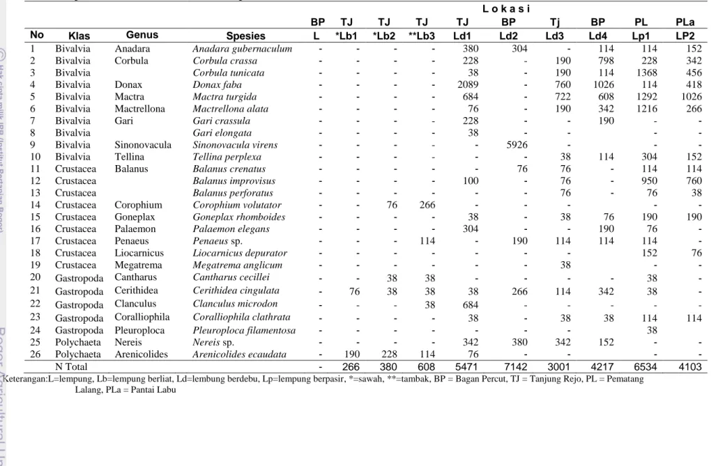Tabel 18 Komposisi makrozoobentos di lokasi penelitian 