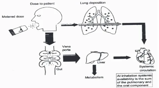 Gambar 1. Availibilitas sistemik kortikosteroid inhalasi.