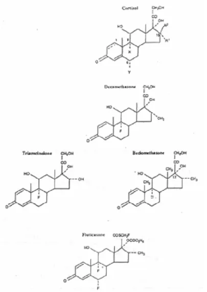 Gambar 2. Modifikasi Kortisol : Deksametason, Triamisinolon Asetonid,  Beklometason Dipropionat dan Fluktikason Propionat