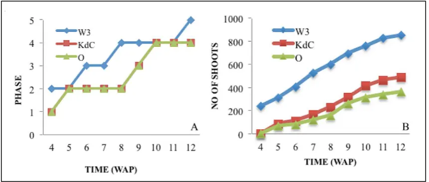 Fig. 1.  Surface sterilization of black orchid capsule and seed culture in vitro.   