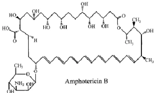 Gambar 3 Struktur kimia pembentuk amfoterisin B (Ghannoum dan Rice 1999) 