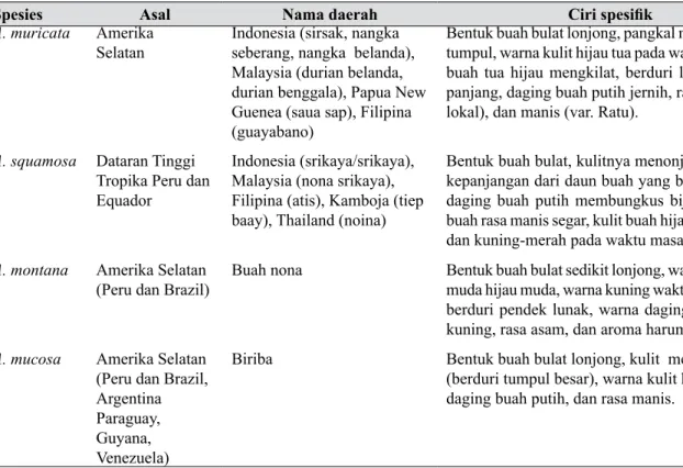 Gambar 2. Daun sirsak (A. muricata)