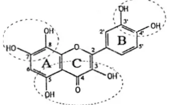 Gambar 4  Struktur kimia vitamin C.   