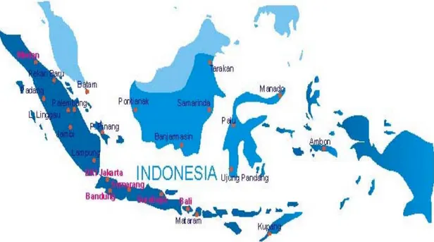 Gambar 3.8 Jaringan Distribusi PT.Vitalis Indonesia 
