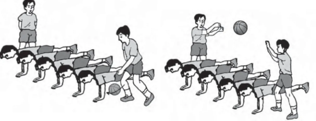 Gambar 2.6 Push up bola bergulir