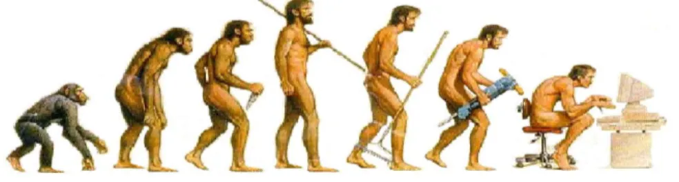 Gambar 2.1. Evolusi Manusia 