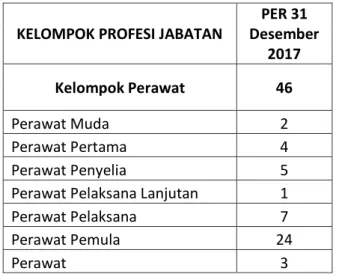 Tabel 2.5 Jumlah SDM BBKPM Makassar untuk Kelompok Profesi Perawat 