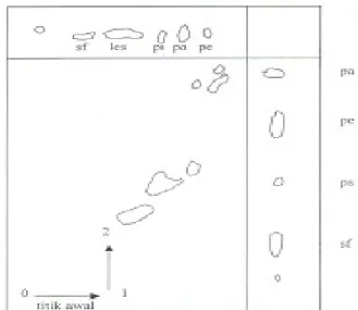 Gambar 2.1. Pemisahan dua dimensi sari fosfolipid dari eritrosit manusia.