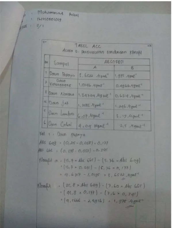 Tabel ACC Kandungan Klorofil Muhammad Rizal (161510501019) 