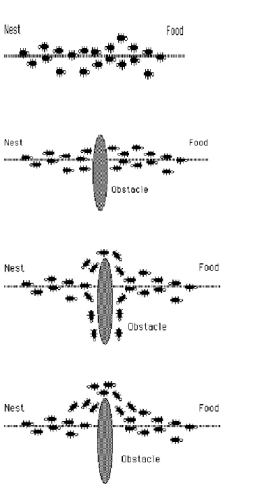 Gambar  8.1:  Koloni  semut  akhirnya  akan  memilih  lintasan  terpendek  menuju  sumber  makanan 