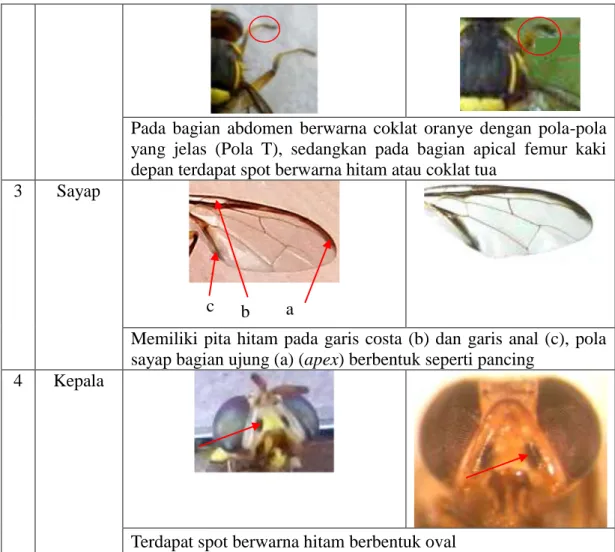 Tabel 3. Pengauruh Konsentrasi Ekstrak Kulit Durian terhadap Mortalitas Lalat Buah 