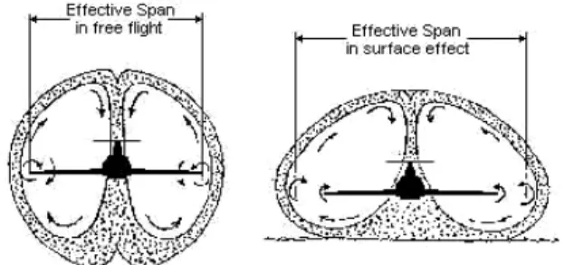 Gambar 1: Sayap dengan Span Dominated Surface Effect [14]