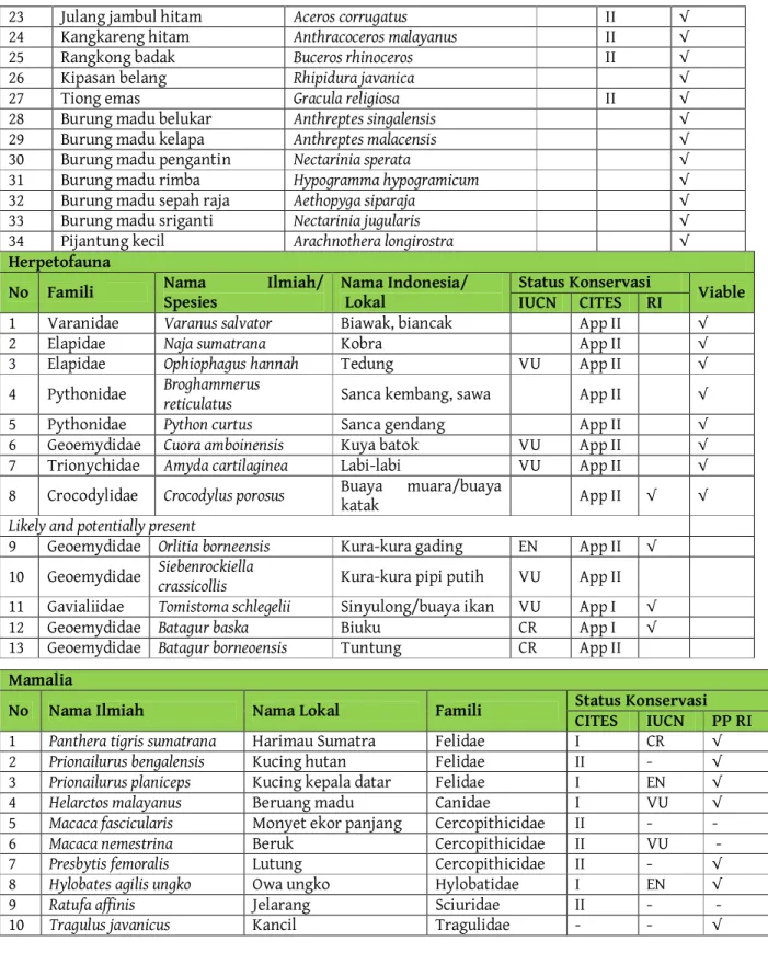Tabel 4. Jenis Flora di PT. RML 