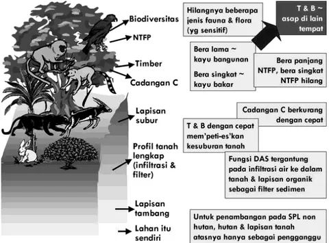 Gambar 2. Fungsi  hutan ditinjau dari  aspek biologi,  ekonomi dan  sumber daya  mineral, T &amp; B =  Tebas Bakar (Van  Noordwijk et al.,  2001)