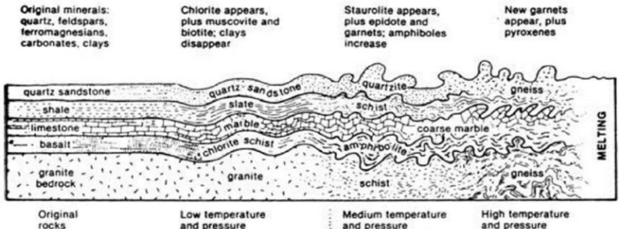 Gambar 2.18 Batuan asal yang mengalami metamorfisme tingkat rendah –  medium – dan tingkat tinggi (O’Dunn dan Sill, 1986) 