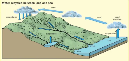 Gambar 1.3 Siklus hidrologi (sumber: Diagram Visual Information Ltd.) 