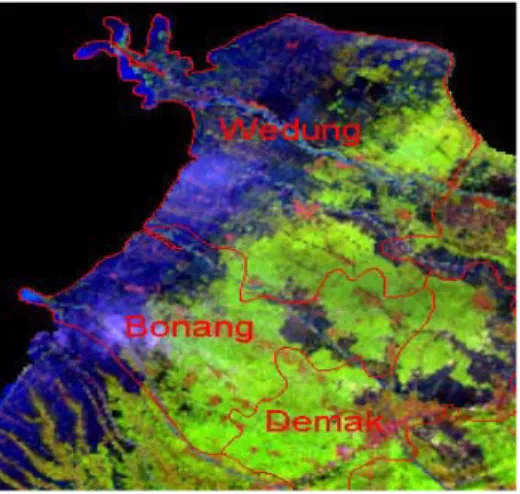 Gambar 5.  Peta Klasifikasi NDVI Citra Landsat TM band 543 Tgl 23 Februari  1998 Daerah Demak Jateng