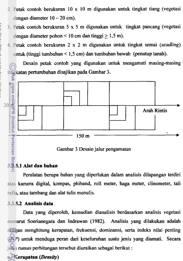 Gambar 3 Desain jalur pengamatan 