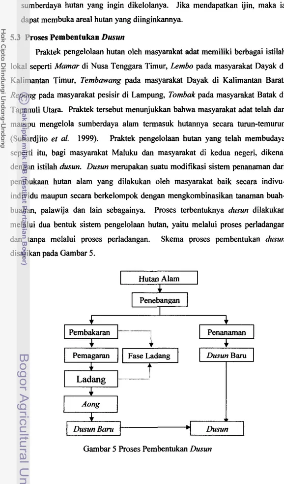 Gambar 5 Proses Pembentukan Dusun 
