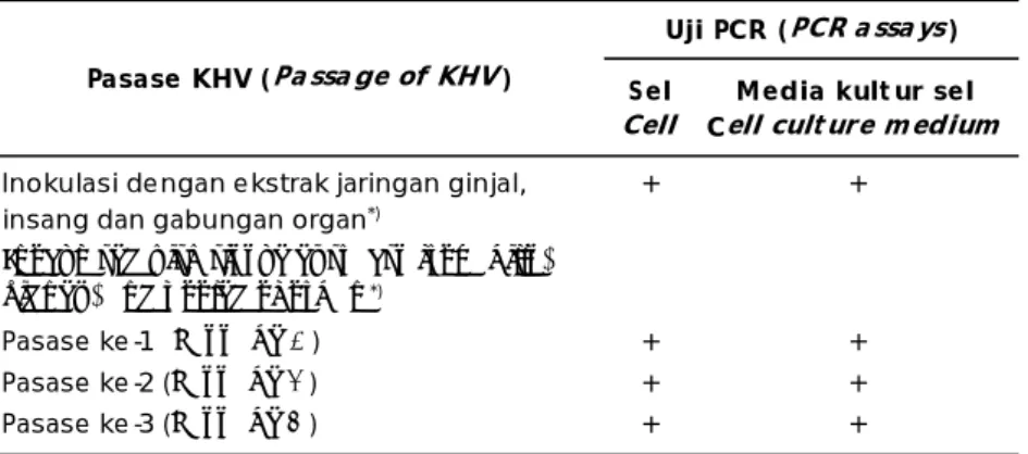 Tabel 3. Hasil uji PCR pada media kultur dan sel dari kultur sel yang menunjukkan CPE