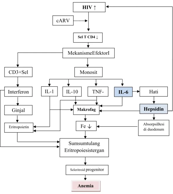 Gambar 2.8 Dugaan Mekanisme Anemia Penyakit Kronik Pada Infeksi HIV  yang mendapat terapi kombinasi ARV 