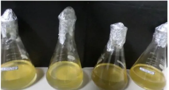 Gambar 4  Formulasi biopestisida dalam bentuk cair 