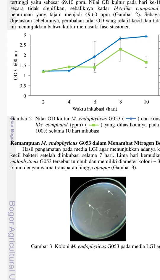 Gambar 2  Nilai OD kultur M. endophyticus G053 (        ) dan konsentrasi IAA- IAA-like  compound  (ppm)  (            )  yang  dihasilkannya  pada  media  TSB  100% selama 10 hari inkubasi 