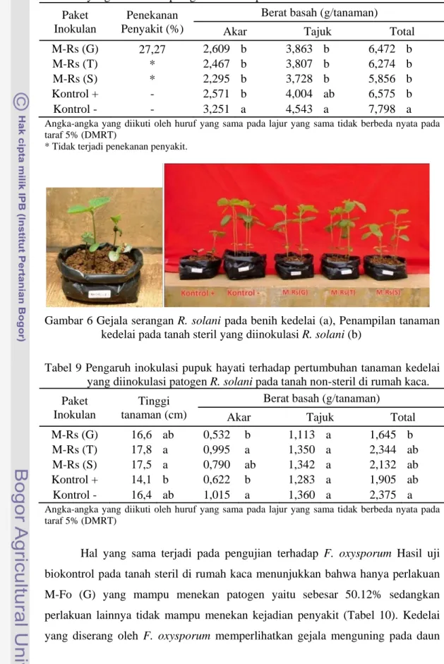 Tabel 8 Pengaruh inokulasi pupuk hayati terhadap pertumbuhan tanaman kedelai  yang diinokulasi patogen R