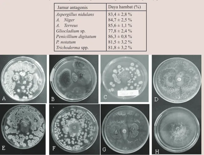 Tabel 1. Daya hambat jamur antagonis terhadap Fusarium oxysporum f.sp. cubense