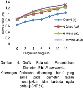 Gambar  3.  Grafik    Rata-rata  Pertambahan  Tinggi                      Bibit R. mucronata