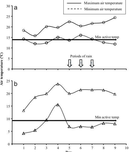 Fig. 3. Box plot of the energy expenditure (J g�1 h�1) of male Niveoscincus ocellatusfrom the warm lowland site and the cold alpine site in Tasmania over (a) the wholeperiod when the DLW study was conducted and (b) the potential activity timeavailable for each population.