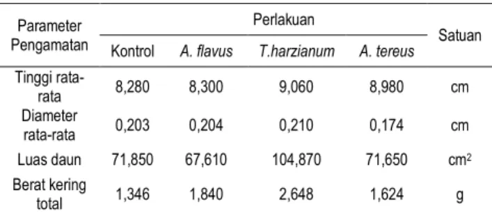 Tabel  1.    Hasil  Pengamatan  Bibit  B.  gymnorrhiza  12   Minggu Setelah Tanam 