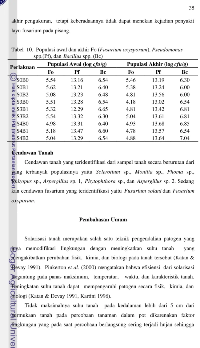 Tabel  10.  Populasi awal dan akhir Fo (Fusarium oxysporum), Pseudomonas                    spp.(Pf), dan  Bacillus spp
