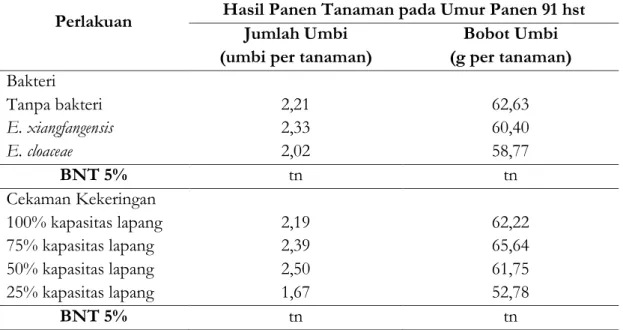 Tabel  3.  Rata-rata  Komponen  Hasil  Panen  Kentang  Hasil  Perlakuan  Bakteri  Endofit  dan Cekaman Kekeringan 